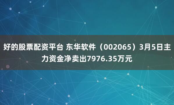 好的股票配资平台 东华软件（002065）3月5日主力资金净卖出7976.35万元