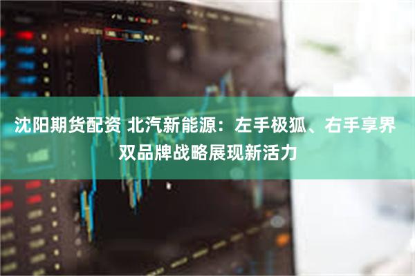 沈阳期货配资 北汽新能源：左手极狐、右手享界 双品牌战略展现新活力