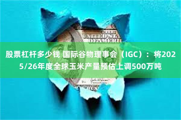 股票杠杆多少钱 国际谷物理事会（IGC）：将2025/26年度全球玉米产量预估上调500万吨