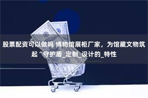 股票配资可以做吗 博物馆展柜厂家，为馆藏文物筑起“守护盾_定制_设计的_特性