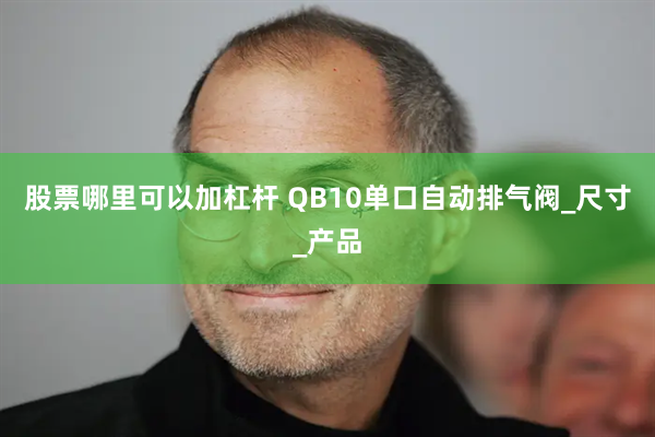 股票哪里可以加杠杆 QB10单口自动排气阀_尺寸_产品
