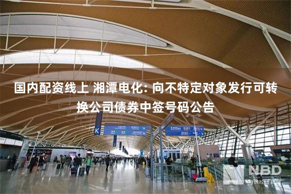 国内配资线上 湘潭电化: 向不特定对象发行可转换公司债券中签号码公告