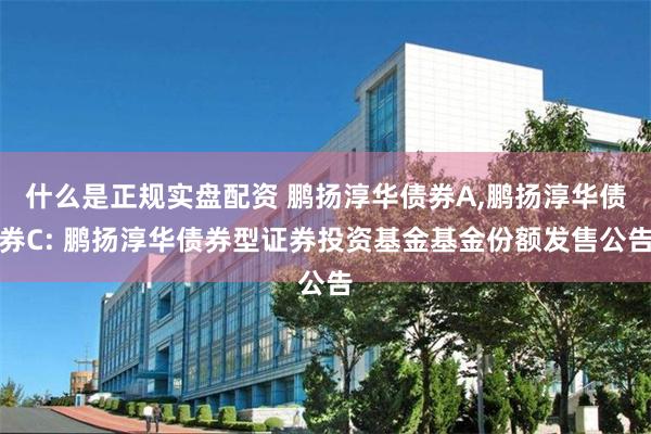 什么是正规实盘配资 鹏扬淳华债券A,鹏扬淳华债券C: 鹏扬淳华债券型证券投资基金基金份额发售公告