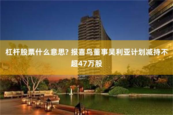 杠杆股票什么意思? 报喜鸟董事吴利亚计划减持不超47万股