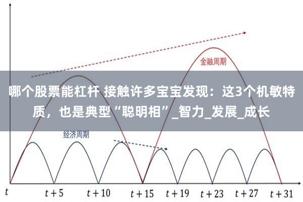 哪个股票能杠杆 接触许多宝宝发现：这3个机敏特质，也是典型“聪明相”_智力_发展_成长