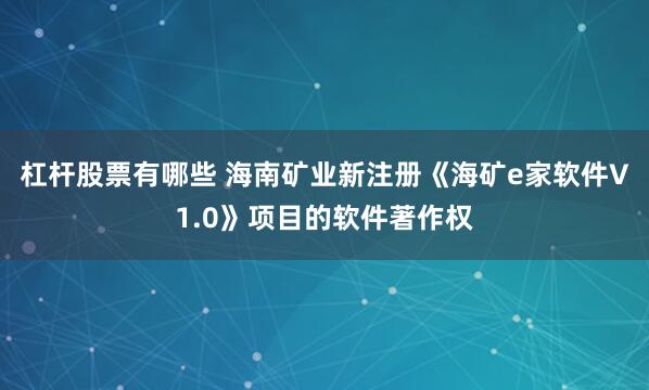杠杆股票有哪些 海南矿业新注册《海矿e家软件V1.0》项目的软件著作权