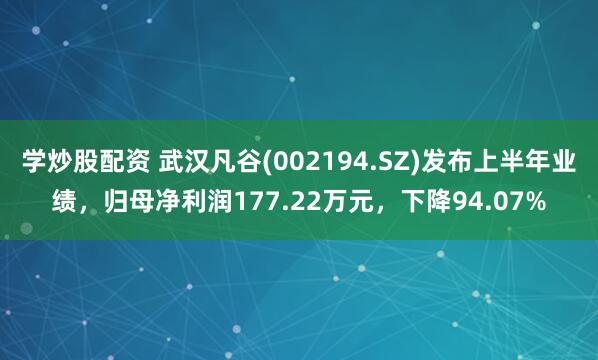 学炒股配资 武汉凡谷(002194.SZ)发布上半年业绩，归母净利润177.22万元，下降94.07%