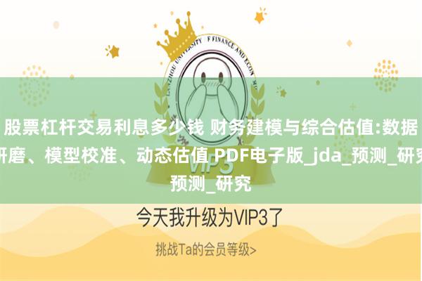 股票杠杆交易利息多少钱 财务建模与综合估值:数据研磨、模型校准、动态估值 PDF电子版_jda_预测_研究