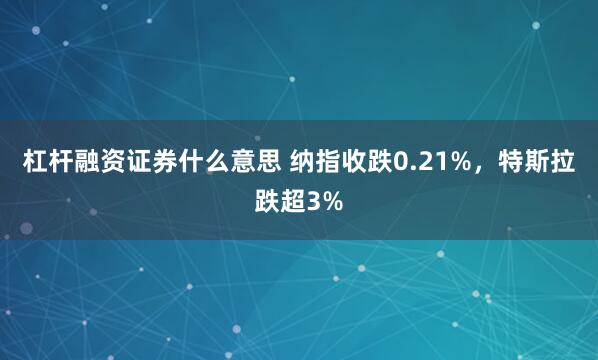 杠杆融资证券什么意思 纳指收跌0.21%，特斯拉跌超3%